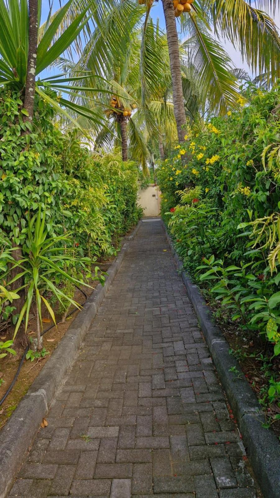 Oasis 1 Villa Tropicale 格兰贝伊 外观 照片